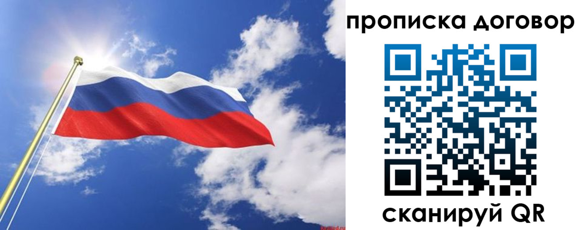 прописка гарантия в Камышине